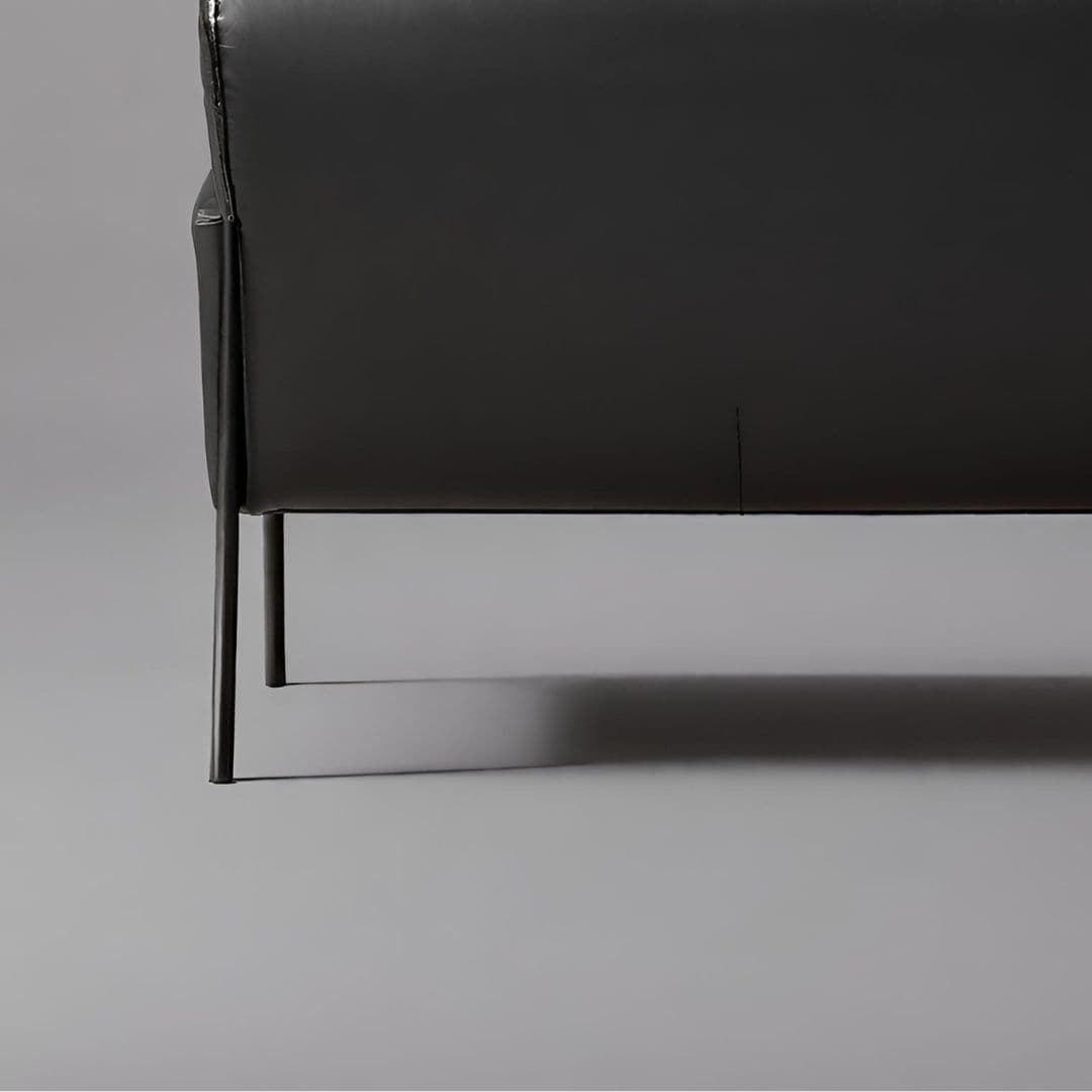 Sleek Modern Leather Sofa